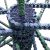 Choosing the Right VoIP System